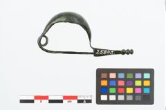 Foto von Bronzekahnfibel (NHMW-PRAE-025842)